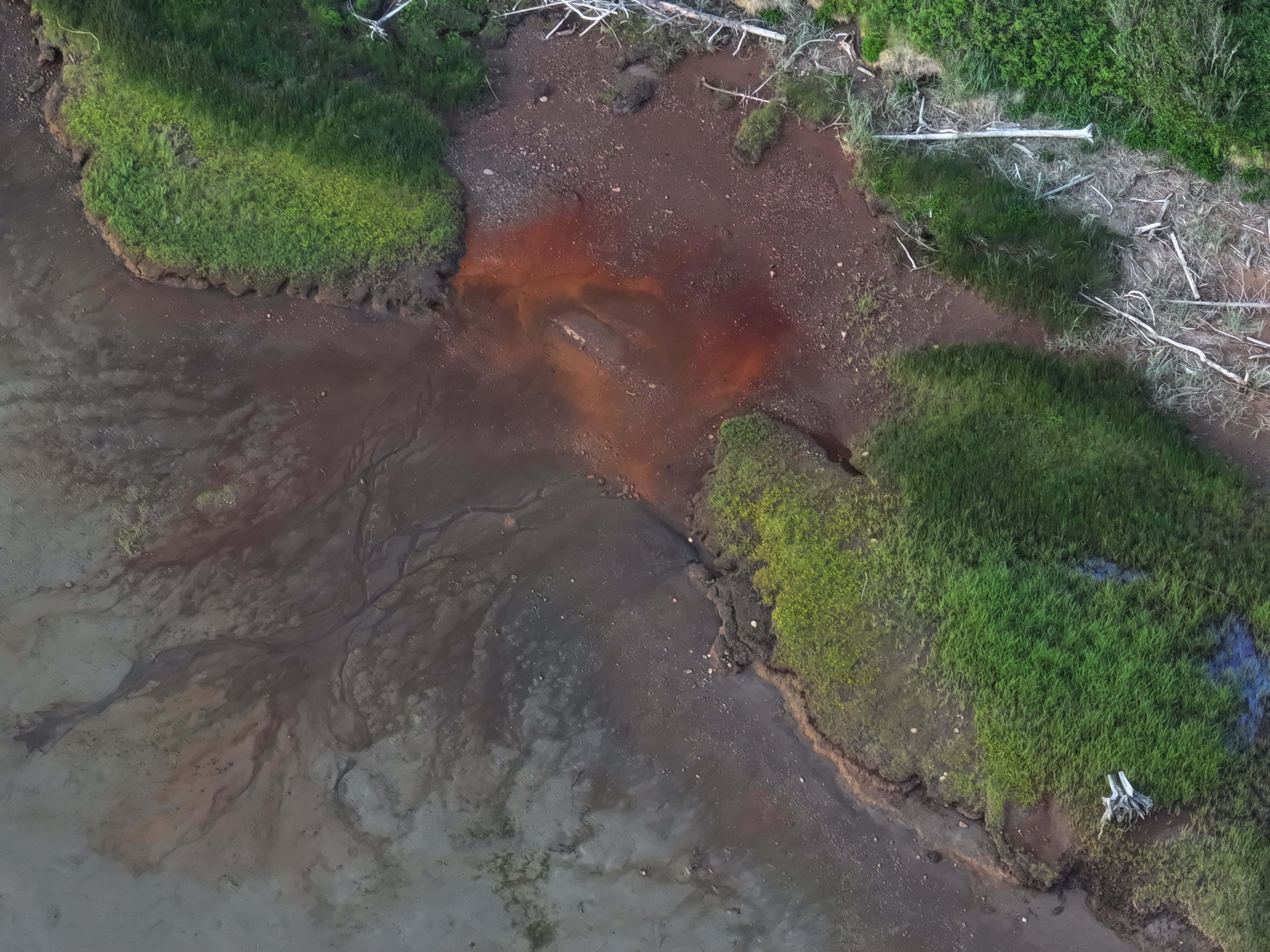 Tourbières et chenaux de l’estuaire de la rivière Sheldrake vus du ciel